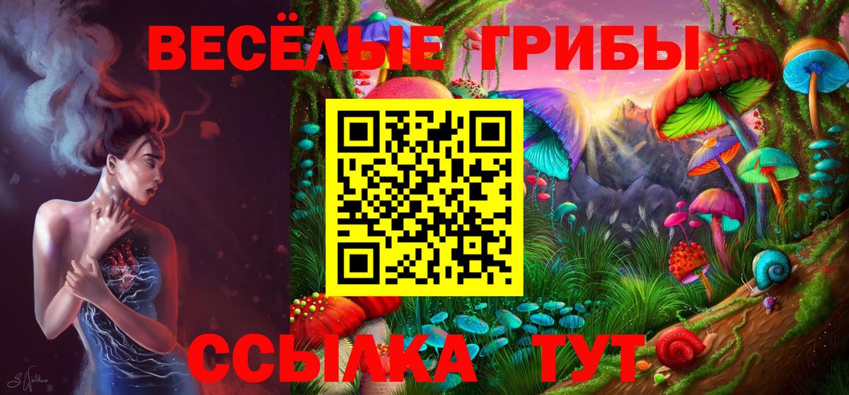 Узловая  Галлюциногенные грибы Cubensis  Вход с VPN  даркнет сайт  Галлюциногенные грибы ЛСД 